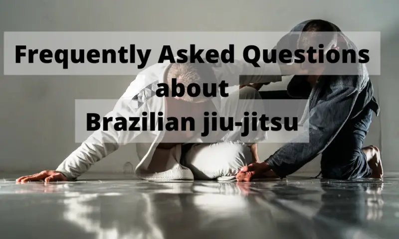 BJJ questions answered