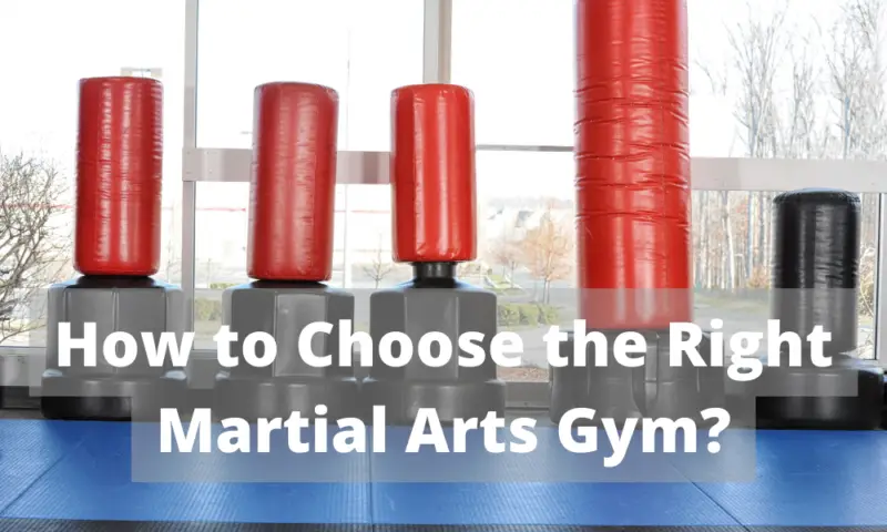How to Choose the Right Martial Arts Gym?