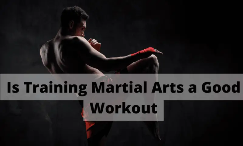 Is Training Martial Arts a Good Workout