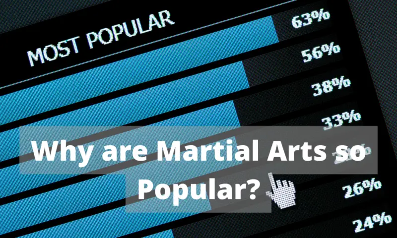 Why are Martial Arts so Popular?