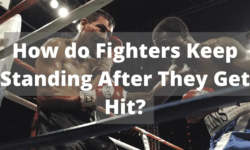 How do Fighters Keep Standing After They Get Hit?
