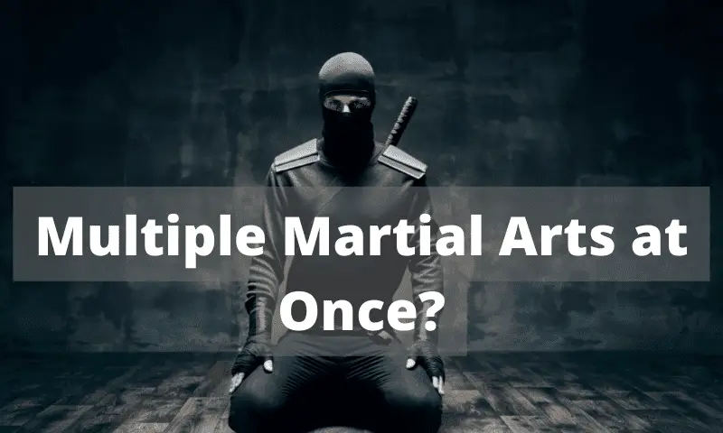 Should You Practice Multiple Martial Arts?