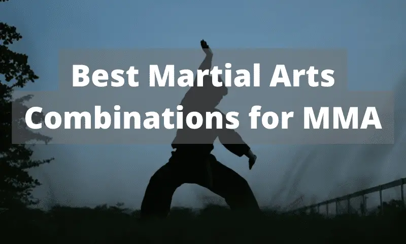 Best Martial Arts Combinations for MMA