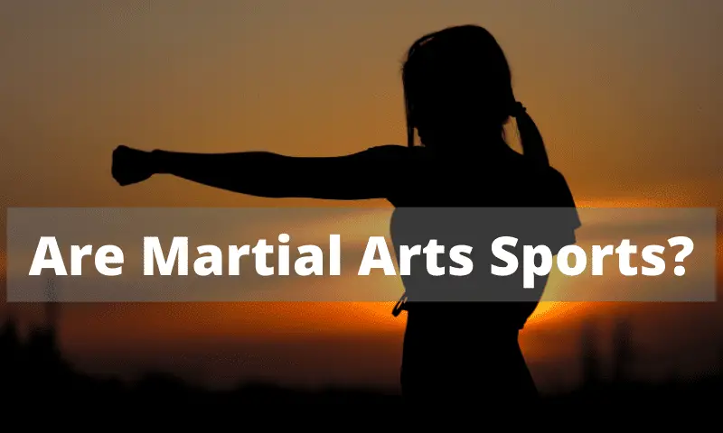 Are Martial Arts Sports?