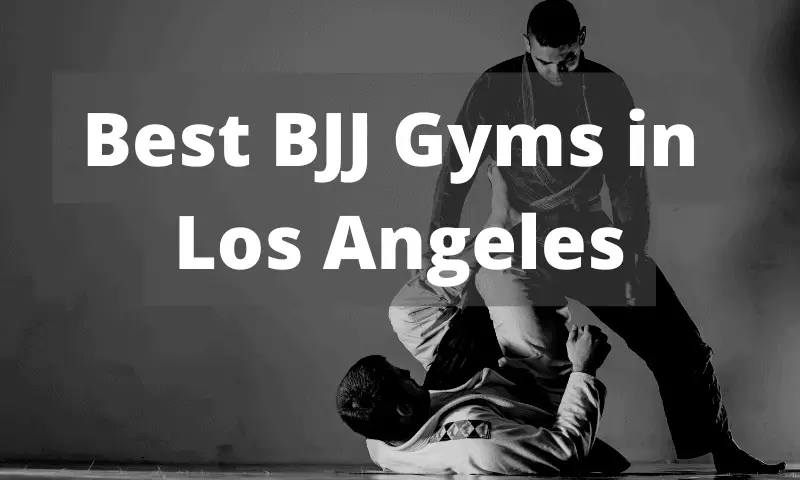 Best BJJ gyms in Los Angeles
