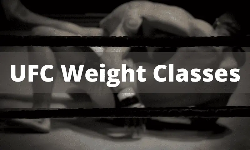 UFC weight classes