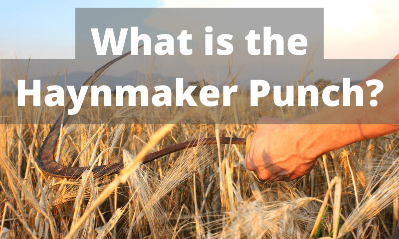 What is a Haymaker Punch?