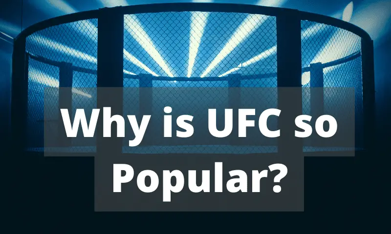 Why is UFC so Popular?