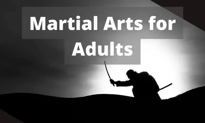 Martial Arts for Adults