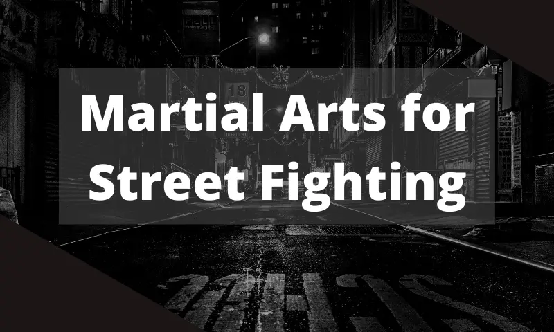 Martial Arts for Street Fighting