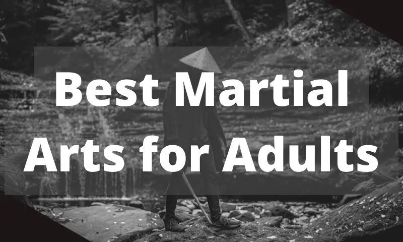 Best Martial Arts for Adults