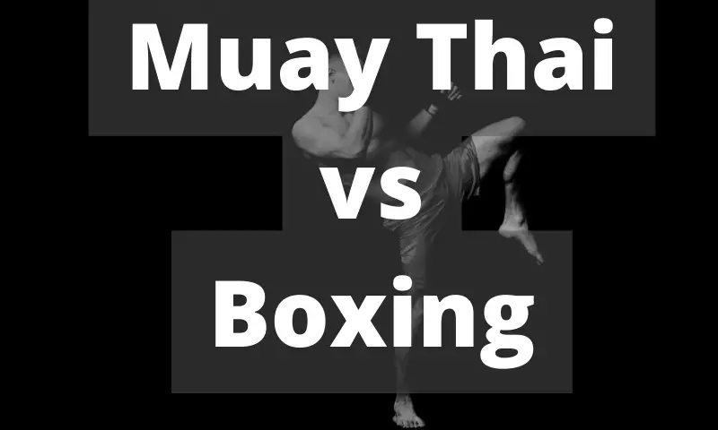 Muay Thai vs Boxing