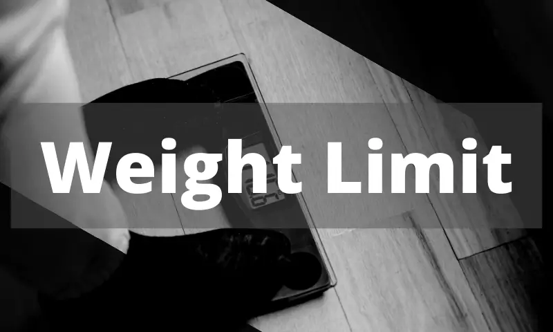 UFC heavyweight Weight Limit