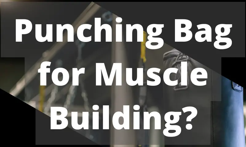 Punching Bag for Muscle Building