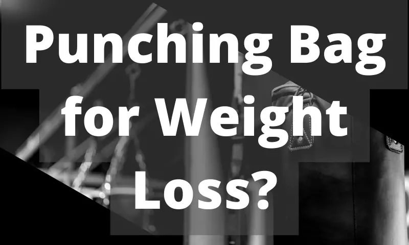 Punching Bag for Weight Loss?